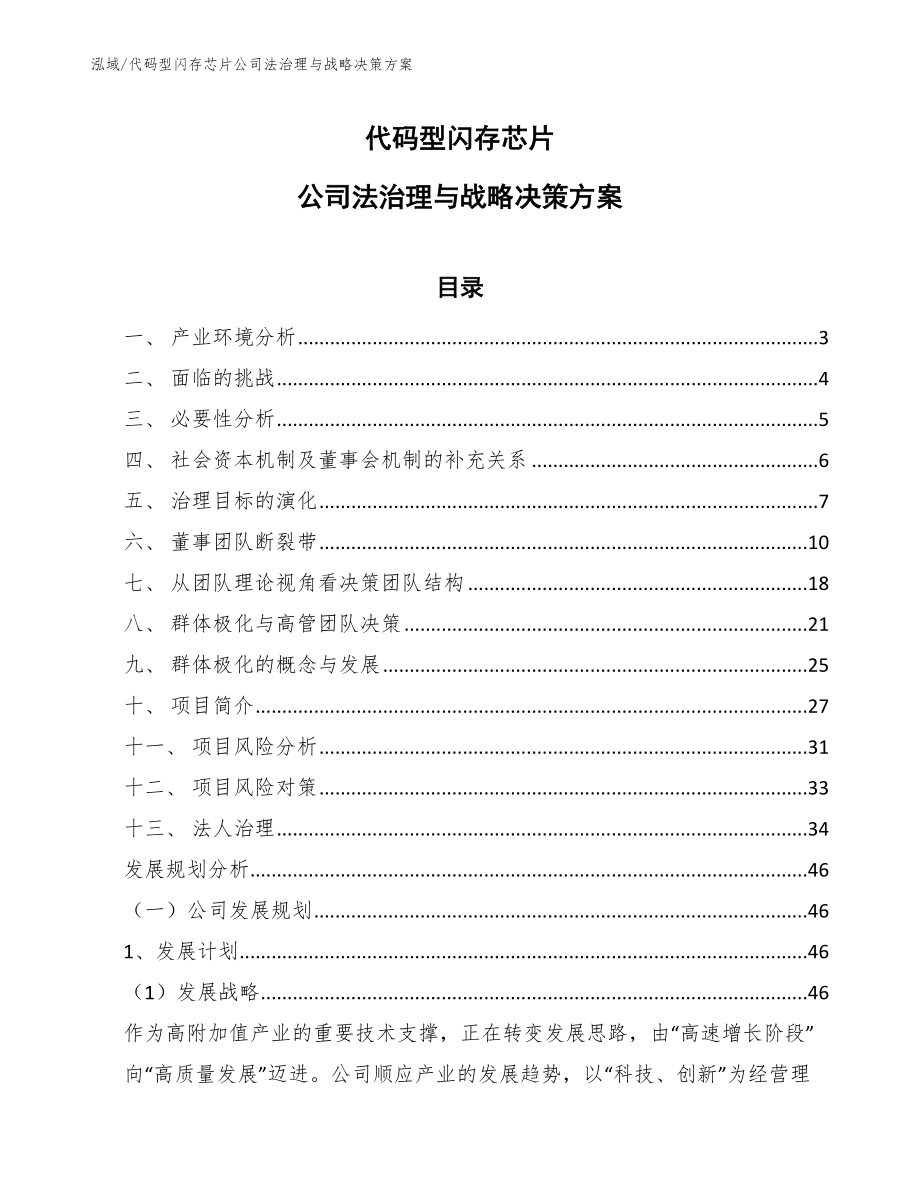 代码型闪存芯片公司法治理与战略决策方案_第1页