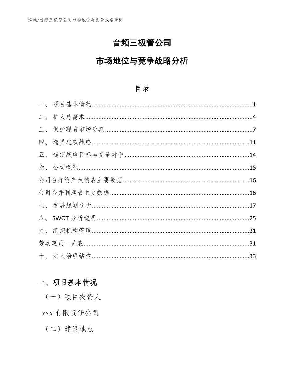 音频三极管公司市场地位与竞争战略分析【范文】_第1页