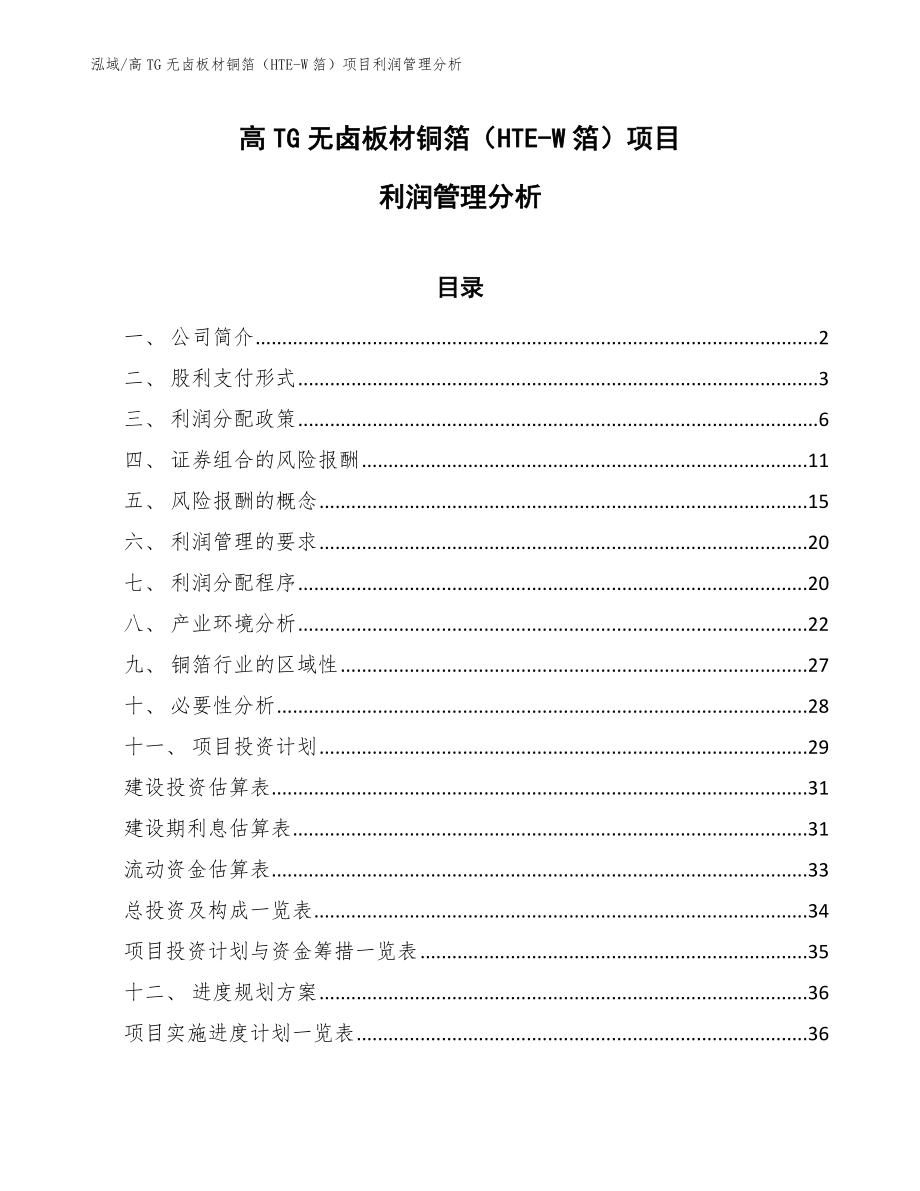 高TG无卤板材铜箔（HTE-W箔）项目利润管理分析【范文】_第1页