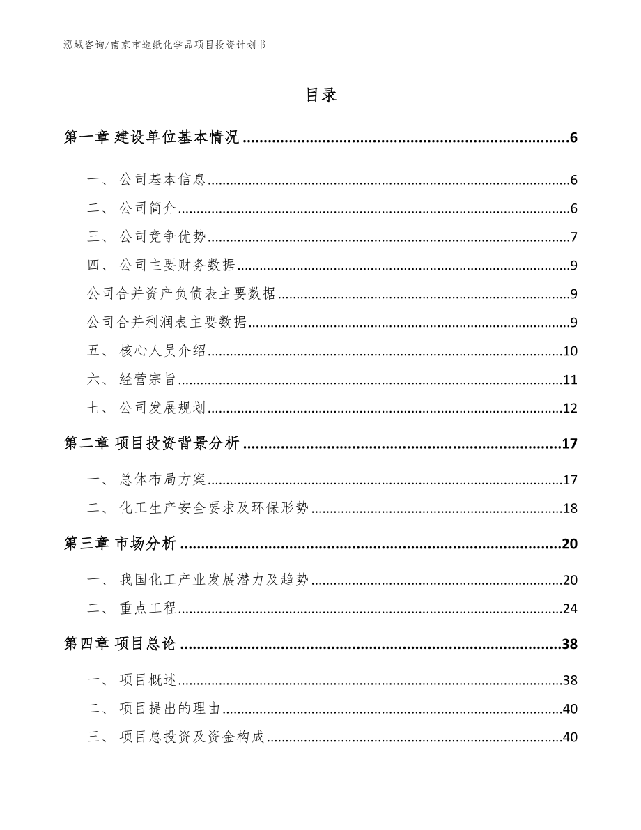 南京市造纸化学品项目投资计划书_第1页