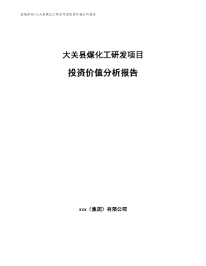 大关县煤化工研发项目投资价值分析报告