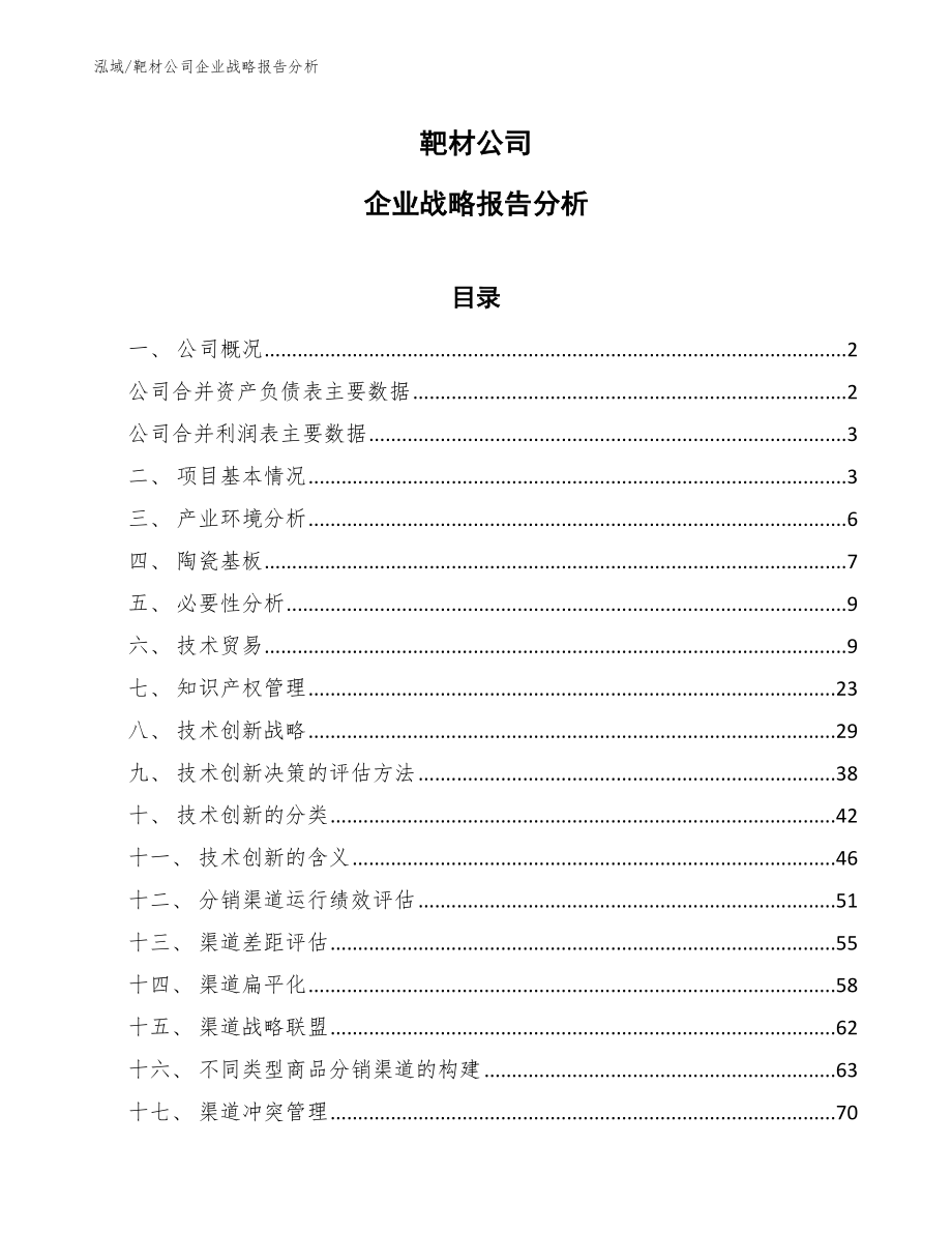 靶材公司企业战略报告分析【参考】_第1页