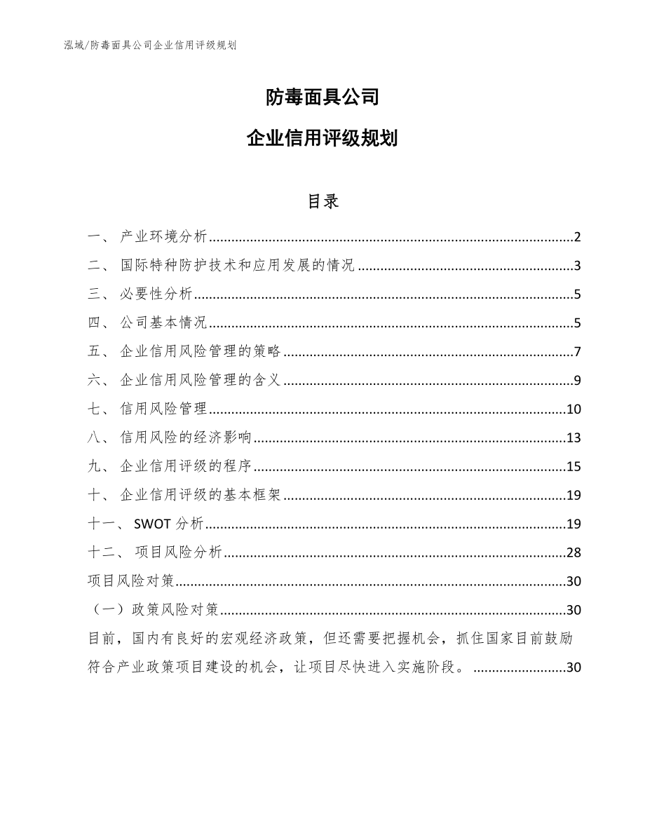 防毒面具公司企业信用评级规划（范文）_第1页