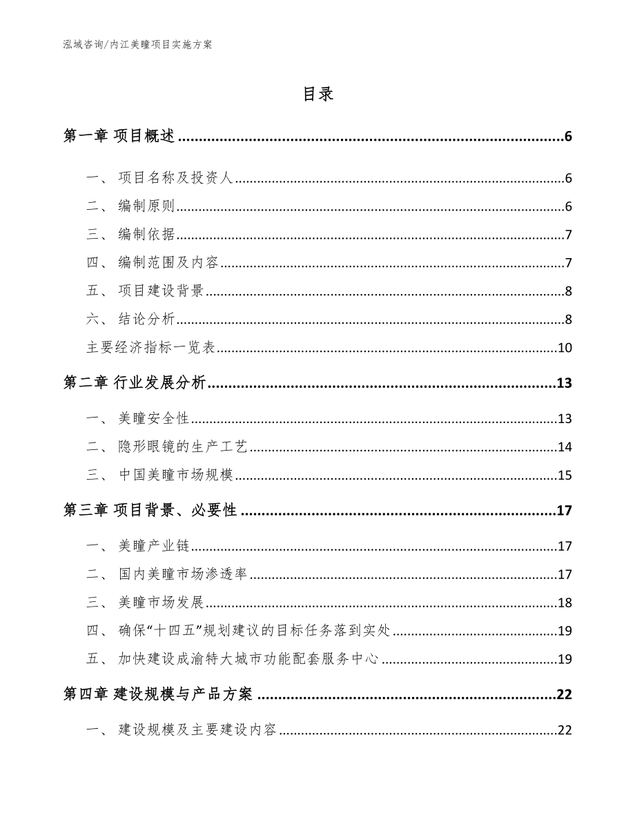 内江美瞳项目实施方案（范文参考）_第1页