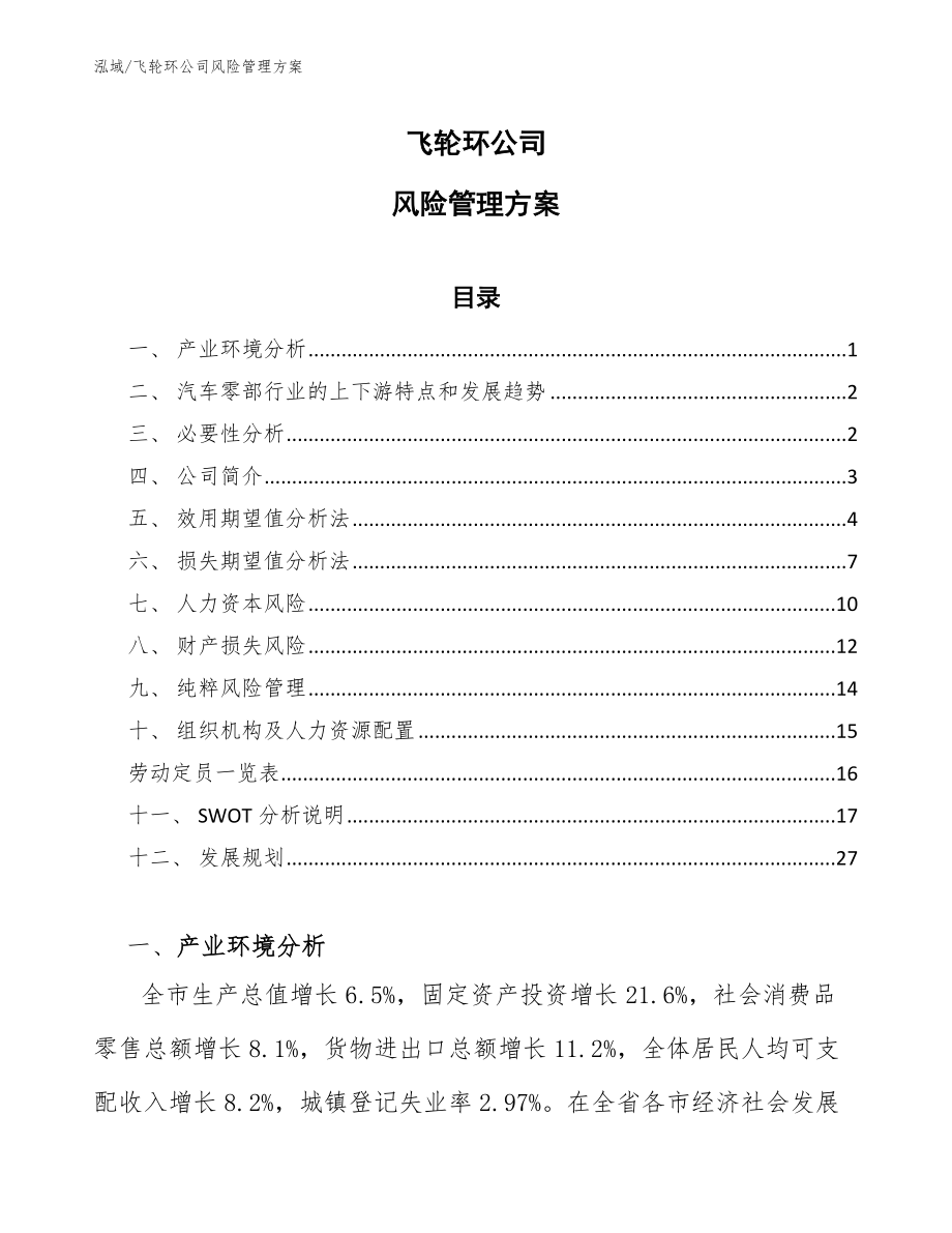 飞轮环公司风险管理方案_第1页