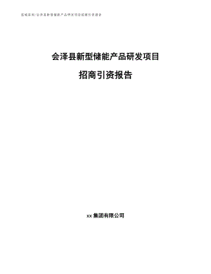 会泽县新型储能产品研发项目招商引资报告（范文）
