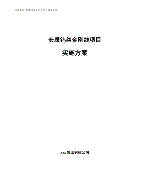 安康钨丝金刚线项目实施方案【模板范本】