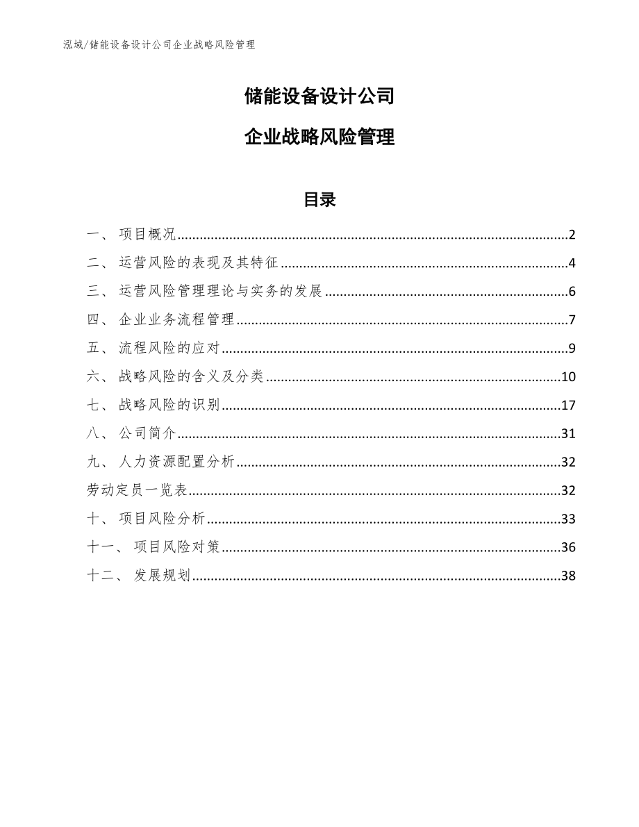 储能设备设计公司企业战略风险管理【范文】_第1页