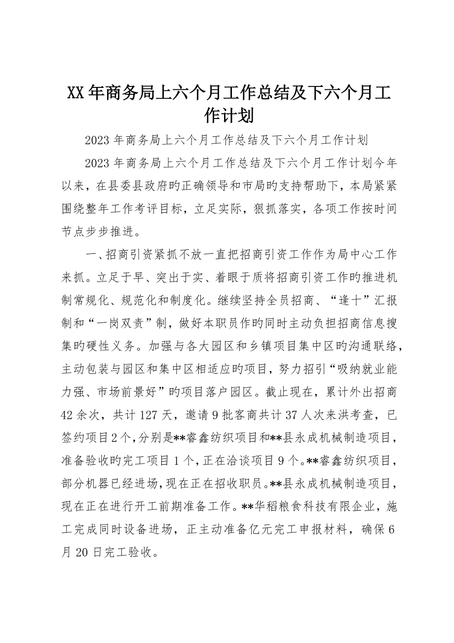 商务局上半年工作总结及下半年工作计划_第1页