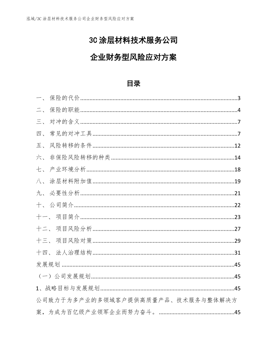 3C涂层材料技术服务公司企业财务型风险应对方案（范文）_第1页