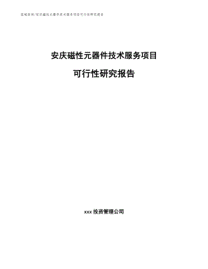 安庆磁性元器件技术服务项目可行性研究报告（范文）