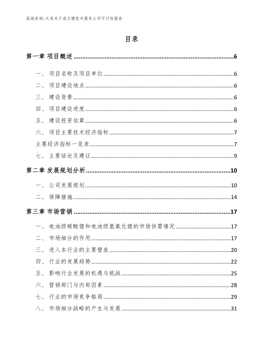 大连关于成立锂技术服务公司可行性报告_模板范文_第1页