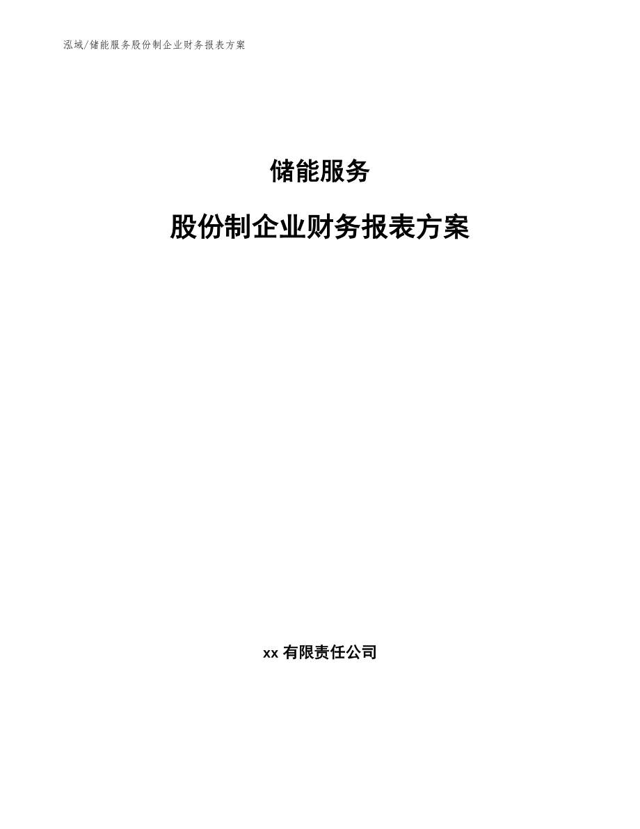 储能服务股份制企业财务报表方案_范文_第1页