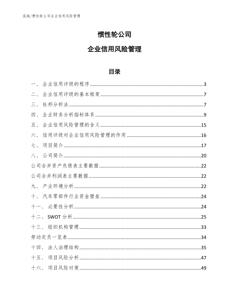 惯性轮公司企业信用风险管理_第1页