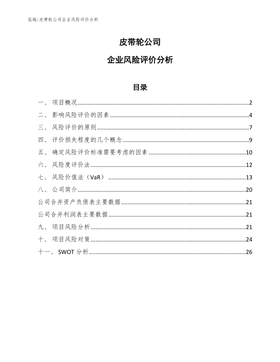 皮带轮公司企业风险评价分析【参考】_第1页