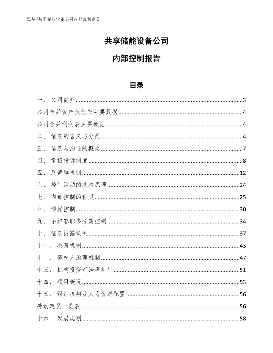 共享储能设备公司内部控制报告【范文】_第1页