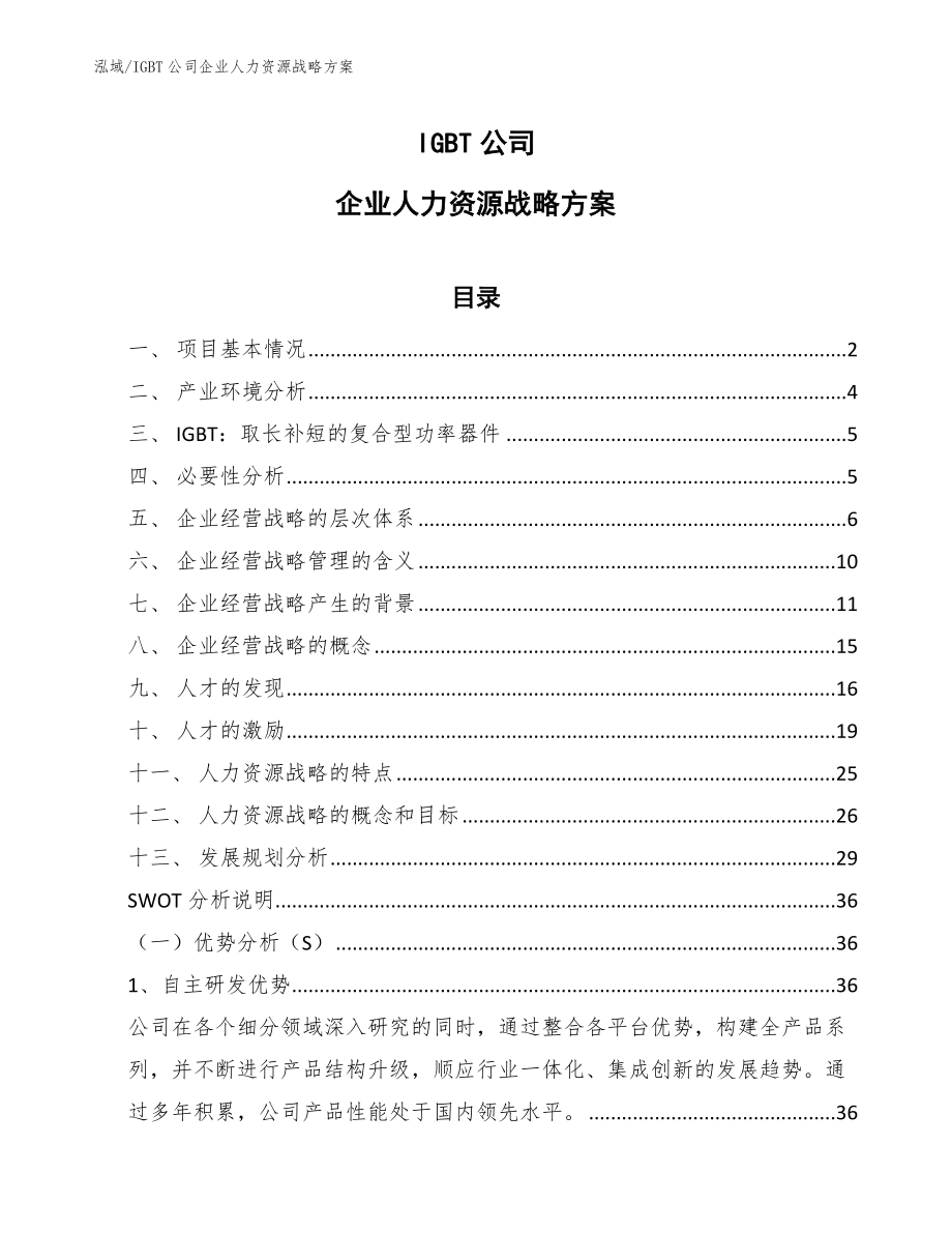 IGBT公司企业人力资源战略方案【范文】_第1页