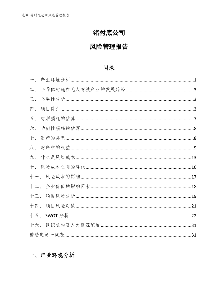 锗衬底公司风险管理报告【范文】_第1页