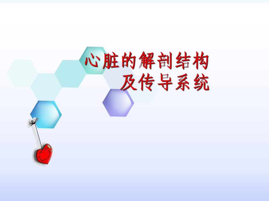 心脏的解剖结构及传导系统_第1页