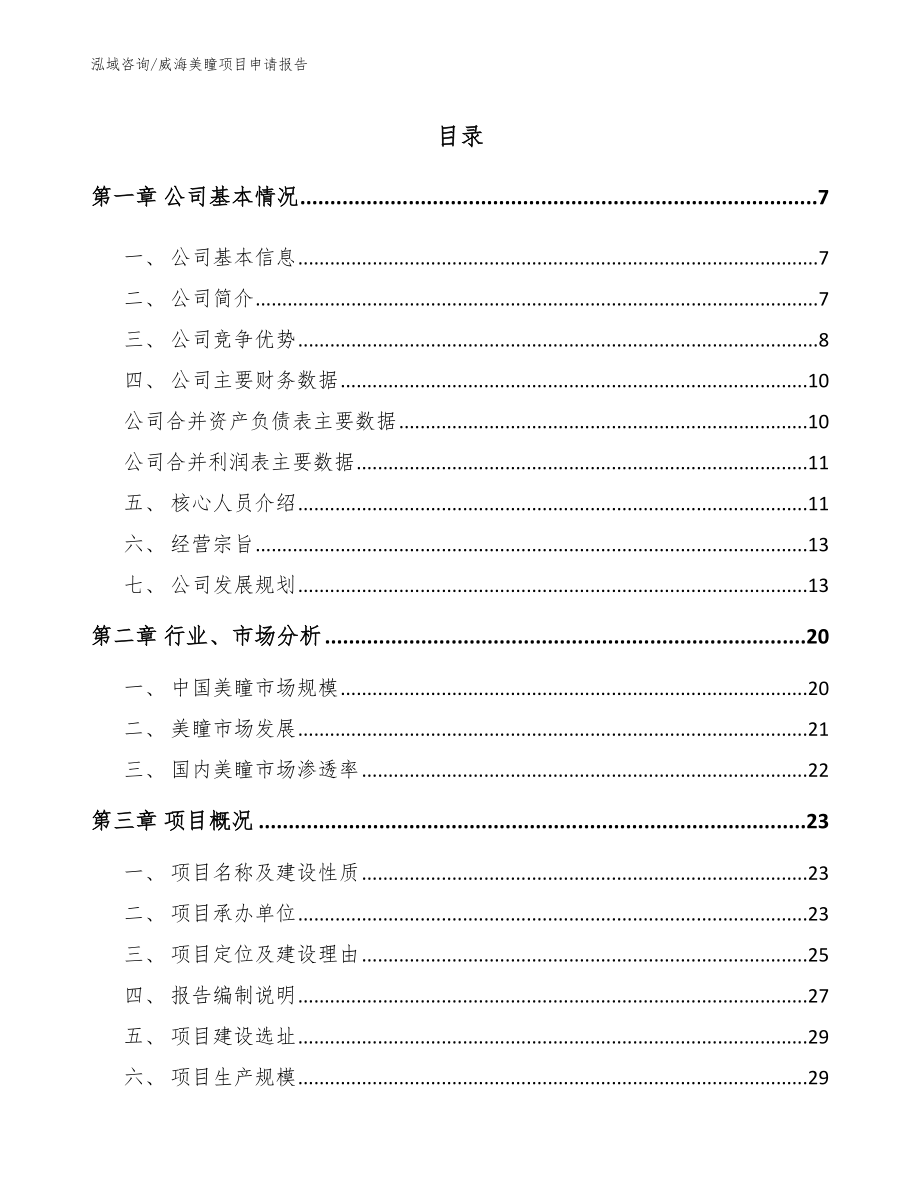 威海美瞳项目申请报告_第1页