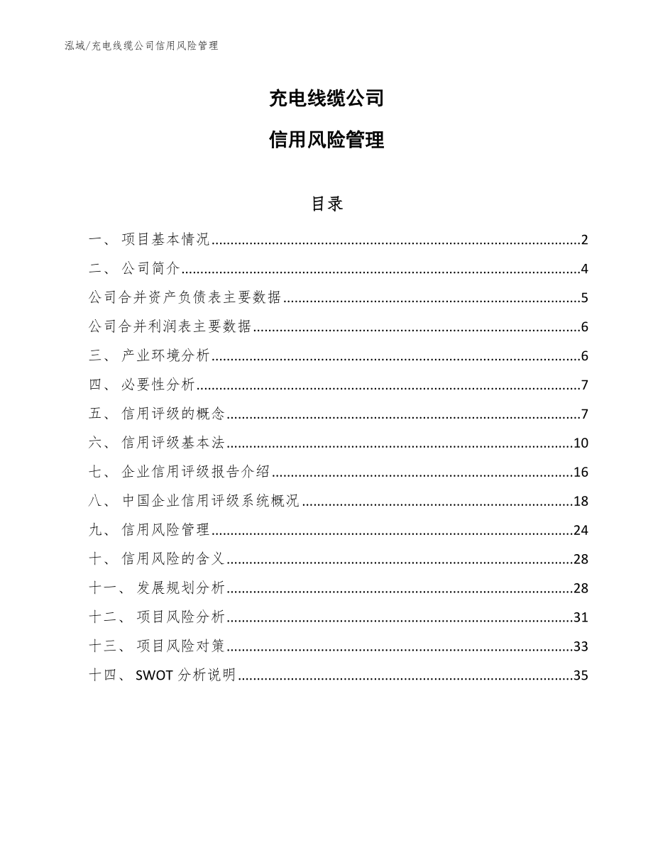 充电线缆公司信用风险管理_第1页