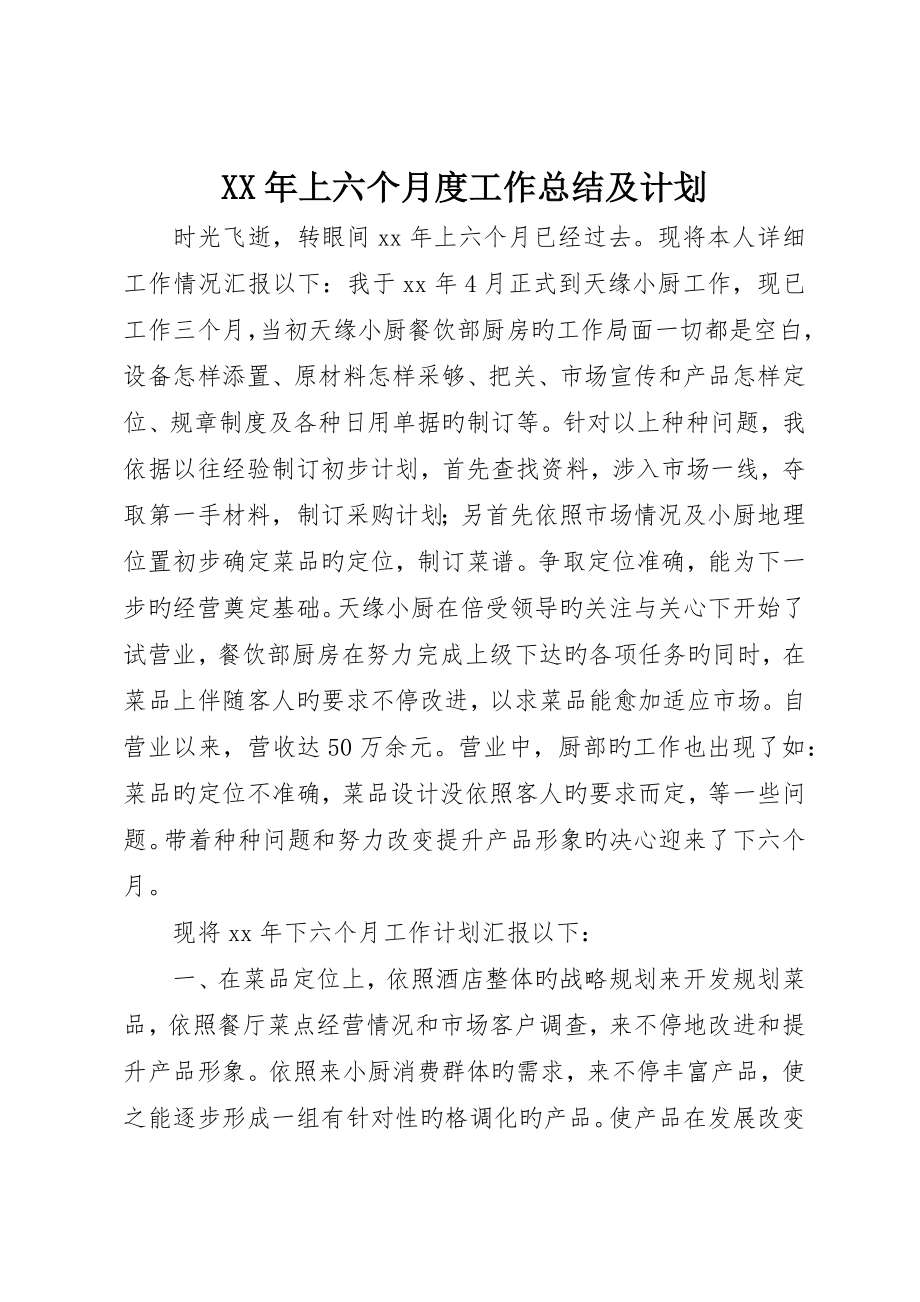 上半年度工作总结及计划_第1页