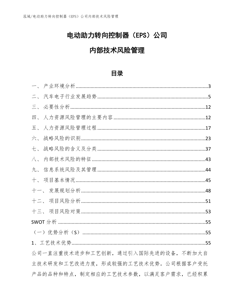 电动助力转向控制器（EPS）公司内部技术风险管理_第1页