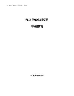 宝应县催化剂项目申请报告