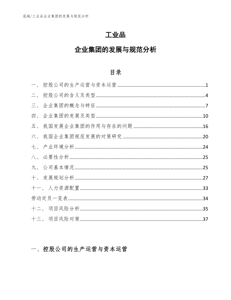 工业品企业集团的发展与规范分析_第1页