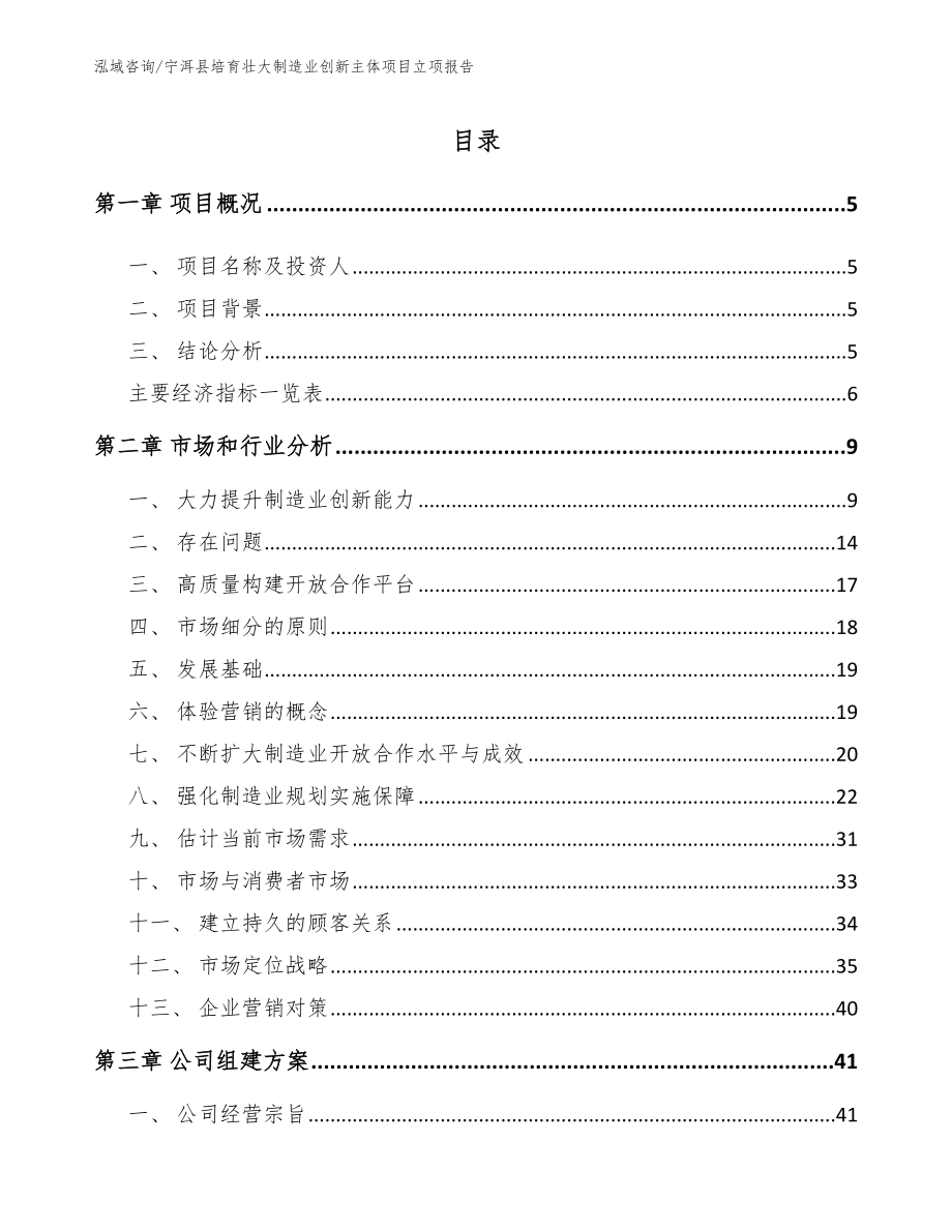 宁洱县培育壮大制造业创新主体项目立项报告（范文模板）_第1页