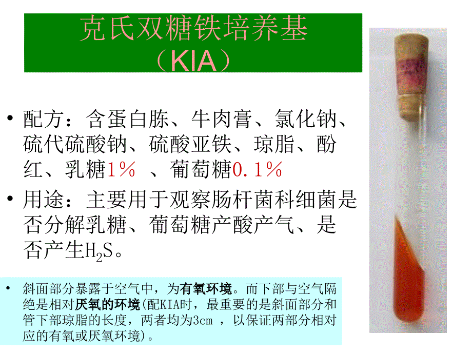 克氏双糖KIA(整理)_第1页