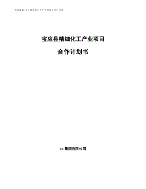 宝应县精细化工产业项目合作计划书_参考模板