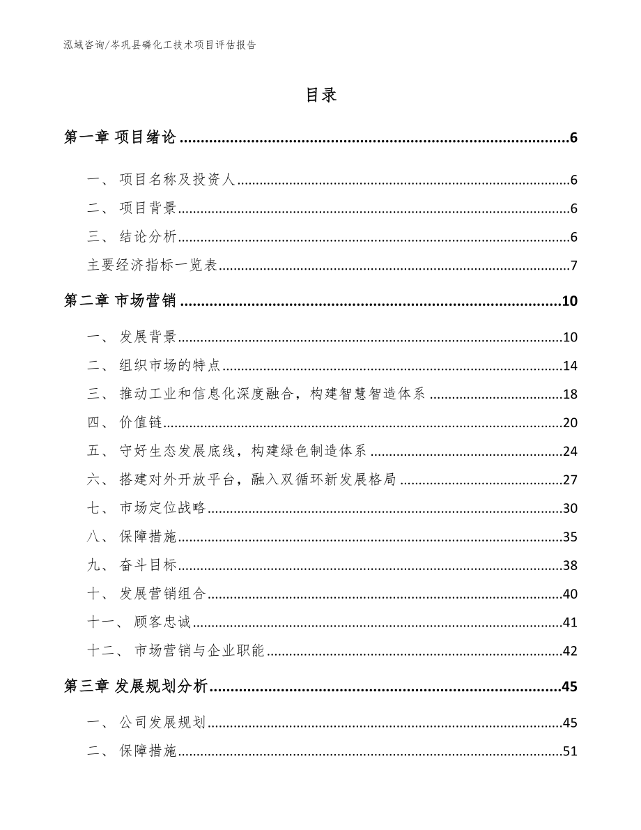 岑巩县磷化工技术项目评估报告（模板范本）_第1页