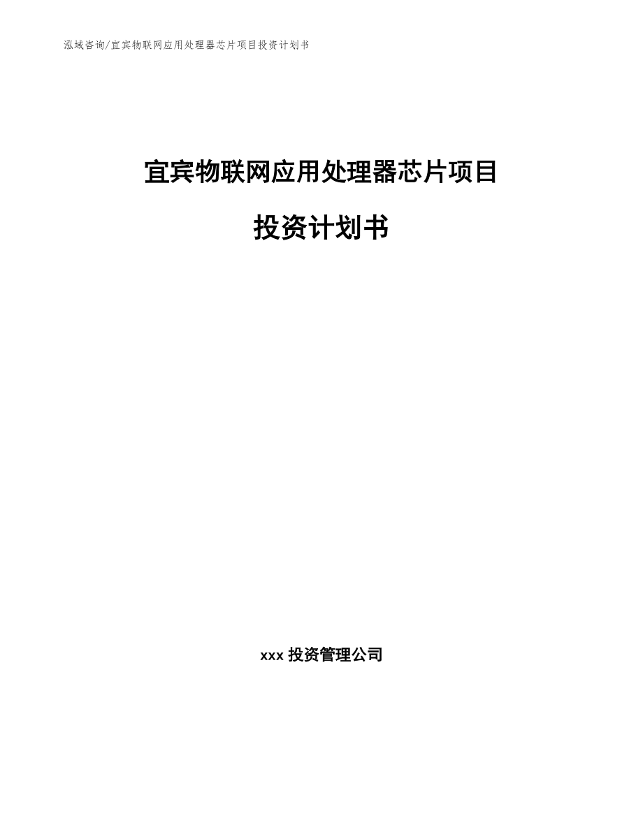 宜宾物联网应用处理器芯片项目投资计划书_参考模板_第1页