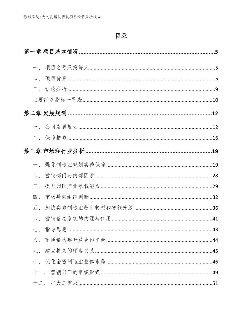 大关县钢铁研发项目经营分析报告_第1页