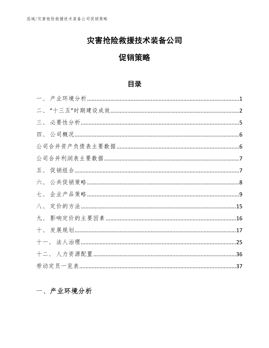 灾害抢险救援技术装备公司促销策略_范文_第1页