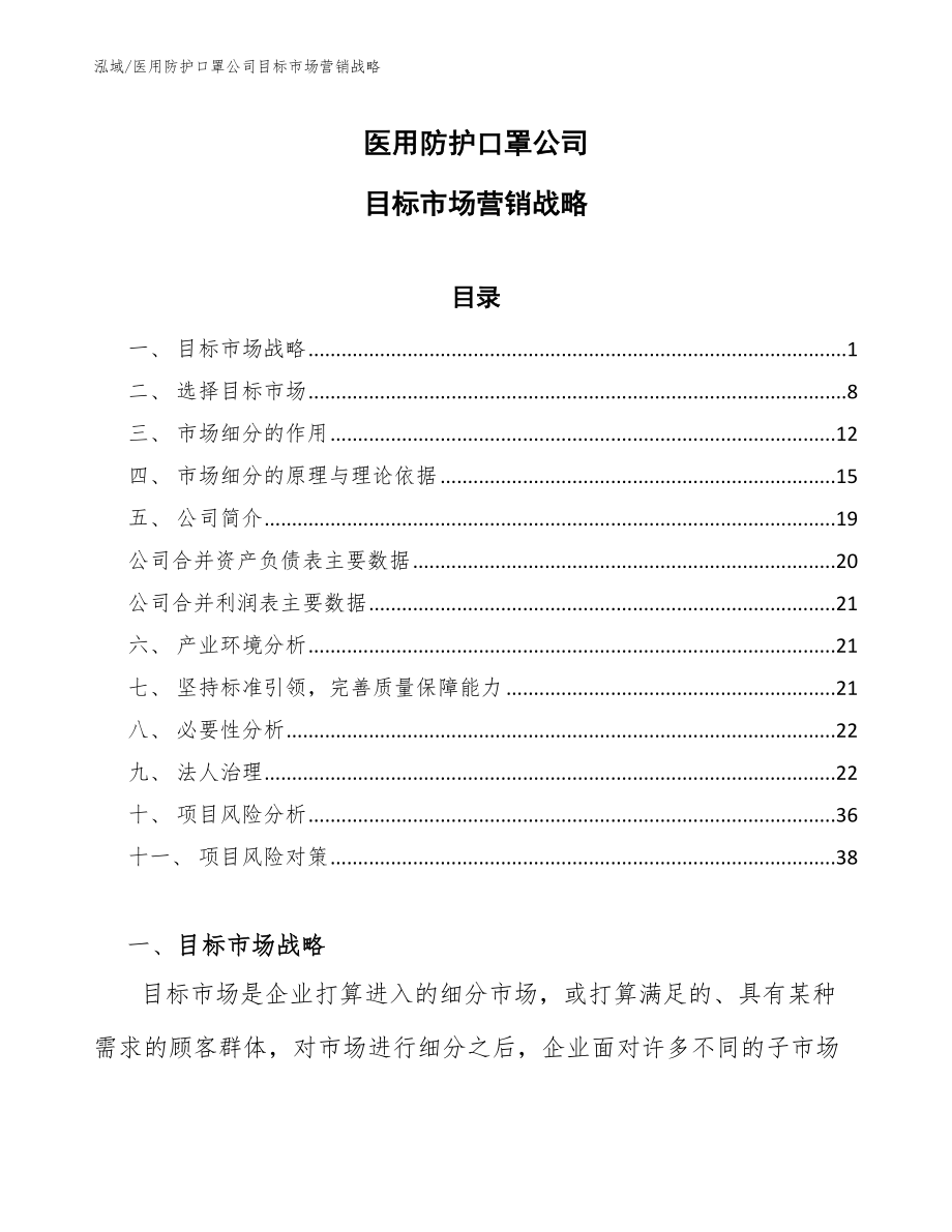 医用防护口罩公司目标市场营销战略_参考_第1页