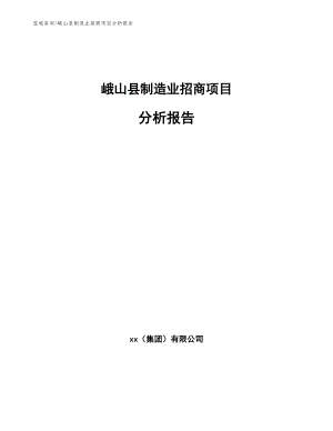 峨山县制造业招商项目分析报告（参考范文）
