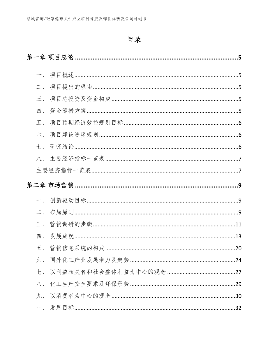 张家港市关于成立特种橡胶及弹性体研发公司计划书_第1页