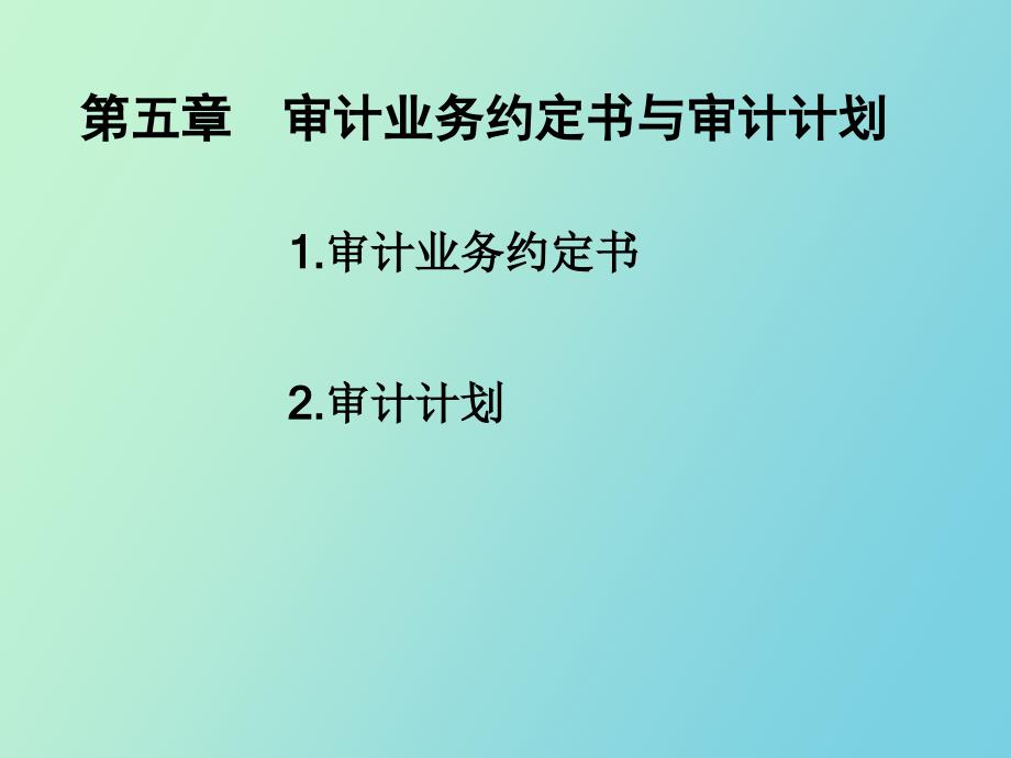 审计业务约定书与审计计划_第1页