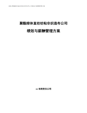 聚酯熔体直纺纺粘非织造布公司绩效与薪酬管理方案（范文）