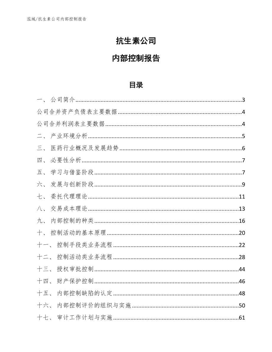 抗生素公司内部控制报告_第1页