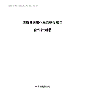 滨海县纺织化学品研发项目合作计划书（范文参考）