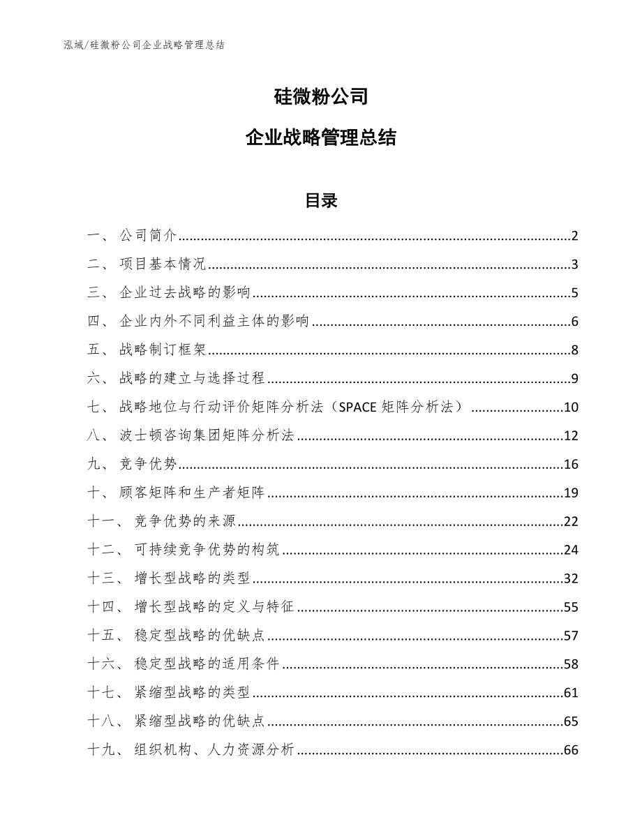 硅微粉公司企业战略管理总结_第1页