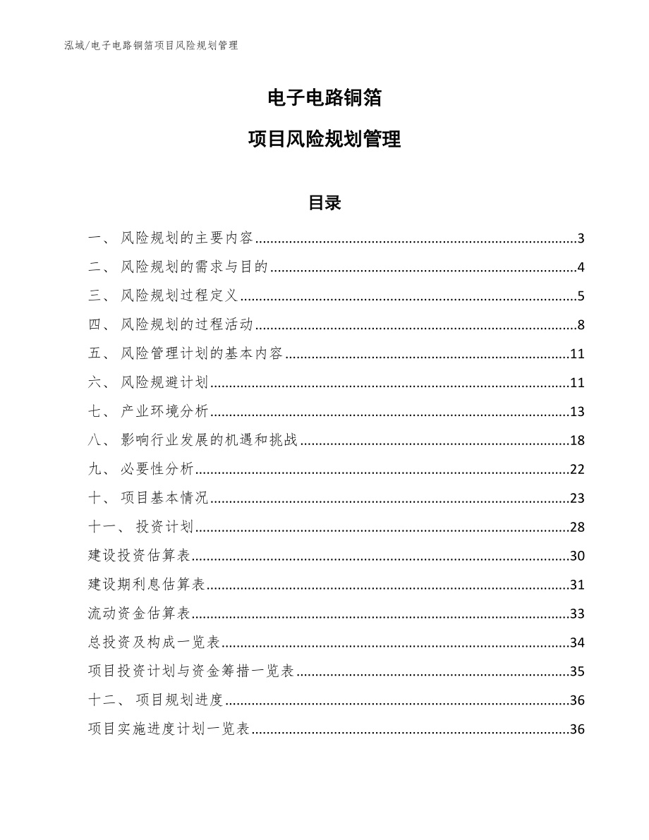 电子电路铜箔项目风险规划管理【范文】_第1页