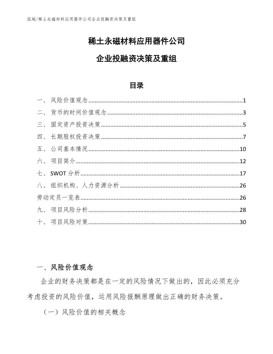 稀土永磁材料应用器件公司企业投融资决策及重组（参考）_第1页