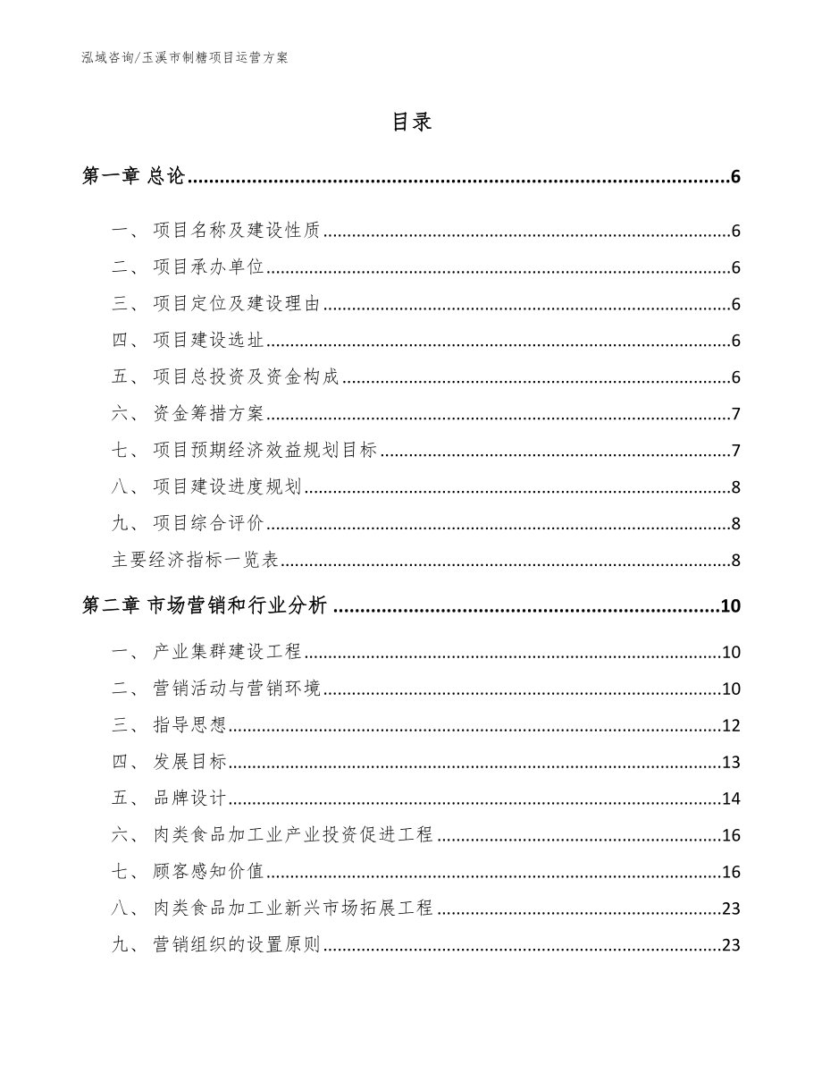 玉溪市制糖项目投资决策报告【模板】_第1页