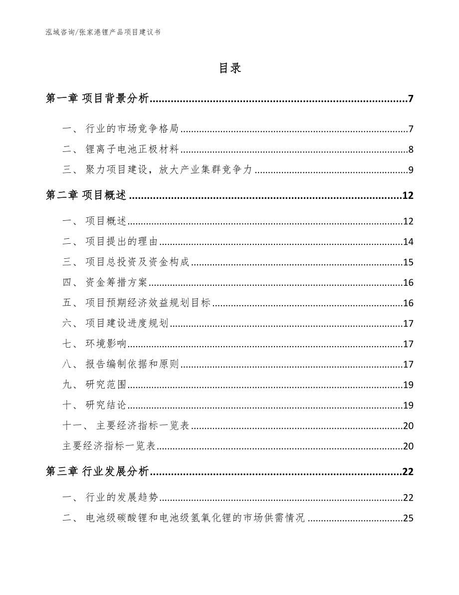 张家港锂产品项目建议书_第1页