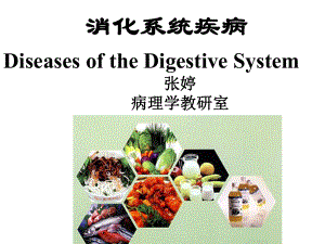 消化系统疾病01-胃炎