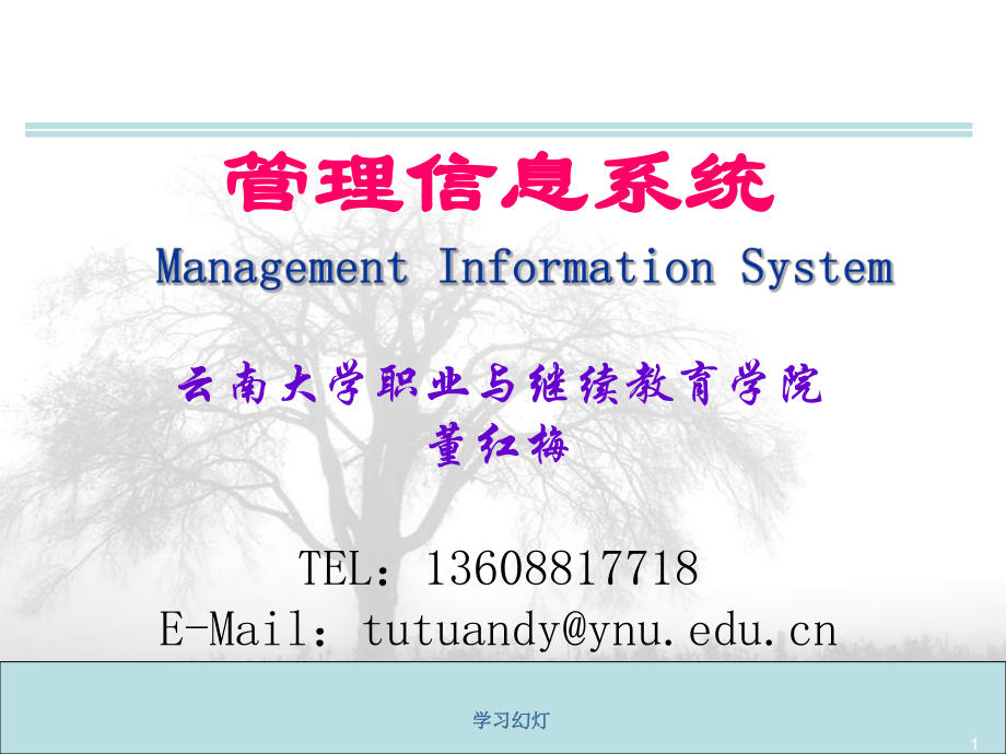 管理信息系统(前言)（高级课堂）_第1页